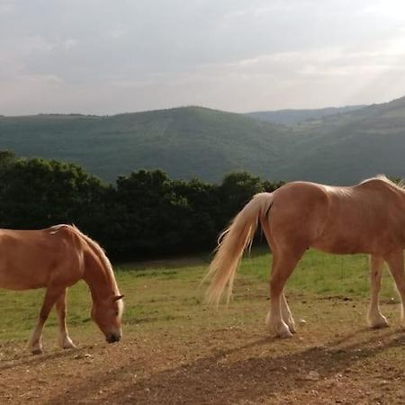 B&B Ca Montemezzano Верона Екстер'єр фото