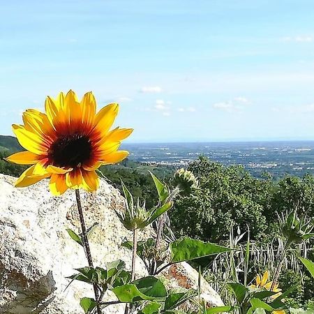 B&B Ca Montemezzano Верона Екстер'єр фото