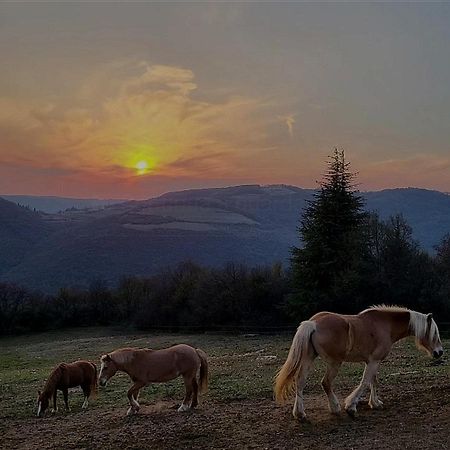 B&B Ca Montemezzano Верона Екстер'єр фото